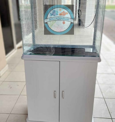 Brand New aquarium PROMO with FREE AROWANA fish fo