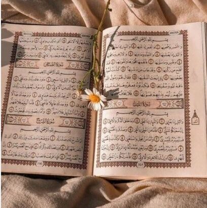 معلمة تربية إسلامية و قران كريم ولغه عربيه