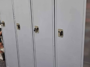 Steel cabinets for sale