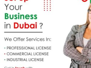 Commercial And Proffessional license