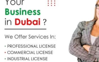 Commercial And Proffessional license