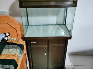 Aquarium with standing cabinet for sale