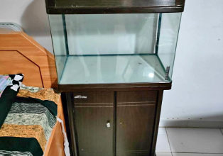 Aquarium with standing cabinet for sale