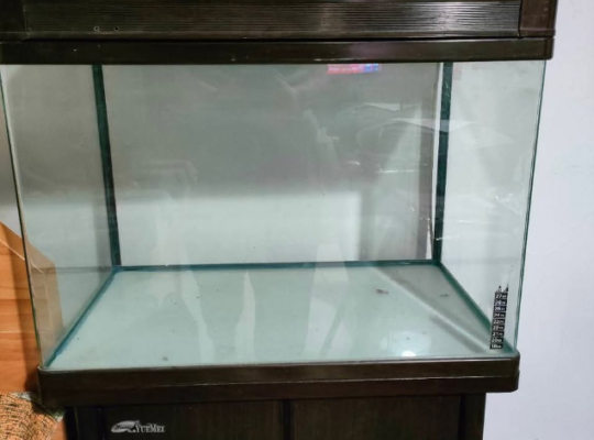 Aquarium with standing cabinet for sale