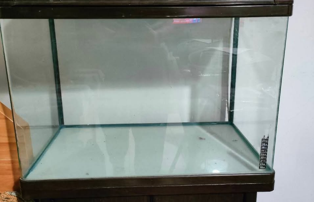 Aquarium with standing cabinet for sale