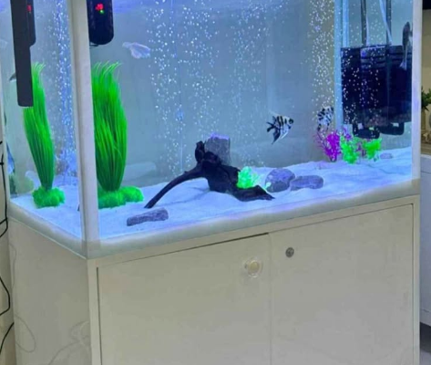 Aquarium 80cm for sale