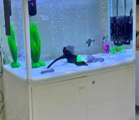 Aquarium 80cm for sale