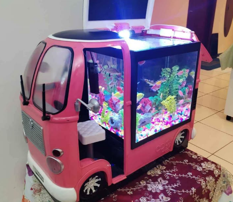 Aquarium Bus model Degsin For Sale