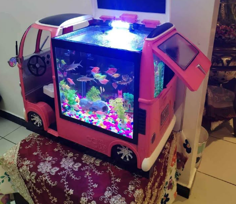 Aquarium Bus model Degsin For Sale