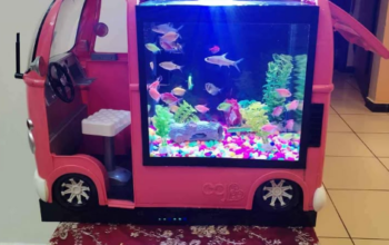 Aquarium Bus model Degsin For Sale