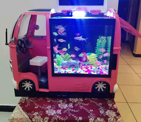 Aquarium Bus model Degsin For Sale