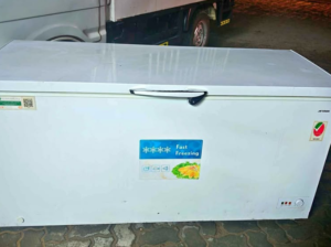 Big size check freezer for sale