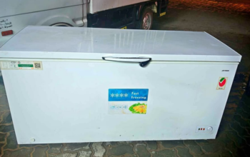 Big size check freezer for sale