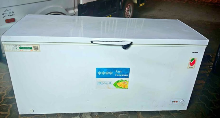 Big size check freezer for sale