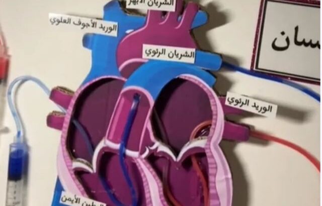 تصميم مشاريع مدرسية