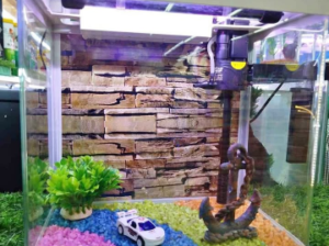 Fish Tank Offer Ready Made