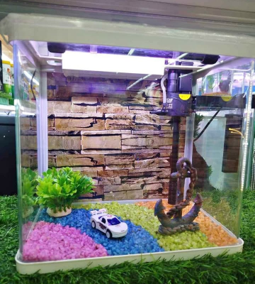 Fish Tank Offer Ready Made