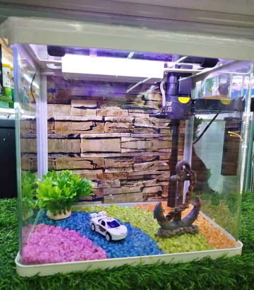 Fish Tank Offer Ready Made