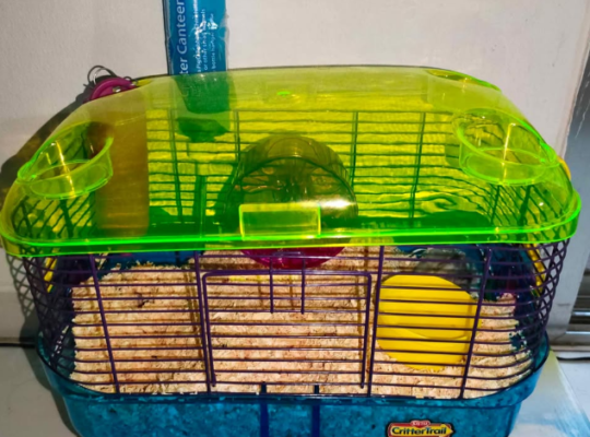 Hamster cage for sale