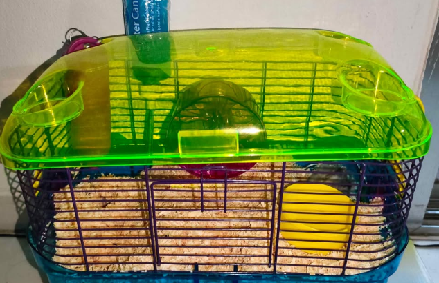 Hamster cage for sale