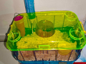 Hamster cage for sale