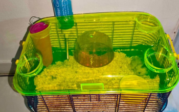 Hamster cage for sale