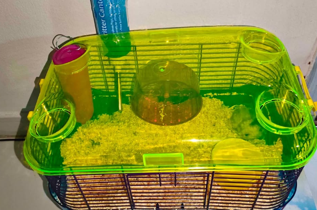 Hamster cage for sale