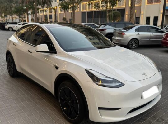 Tesla model Y Standard 2021 imported