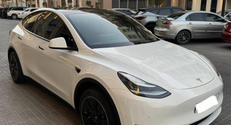 Tesla model Y Standard 2021 imported