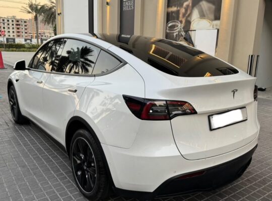 Tesla model Y Standard 2021 imported