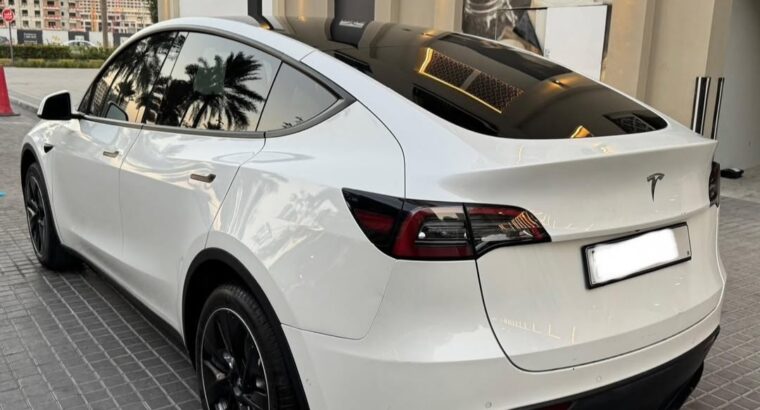 Tesla model Y Standard 2021 imported
