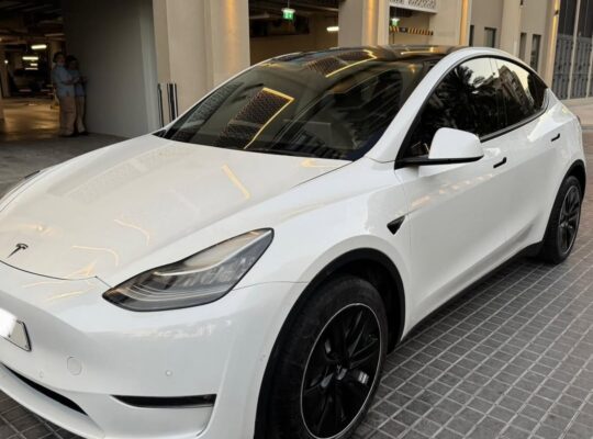 Tesla model Y Standard 2021 imported