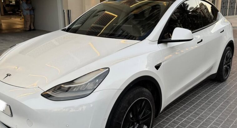 Tesla model Y Standard 2021 imported