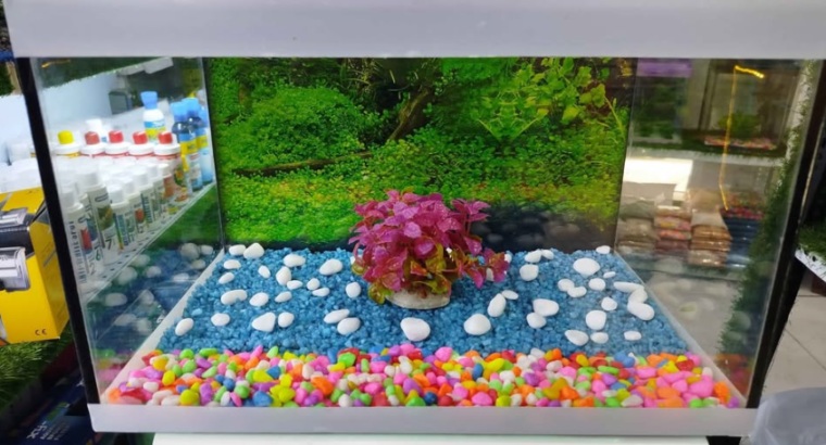 Smart Customized Fish Tank With Decoration & Fishe