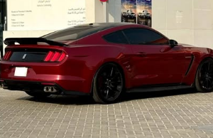 Mustang GT Shelby Full Kit 2015 For Sale