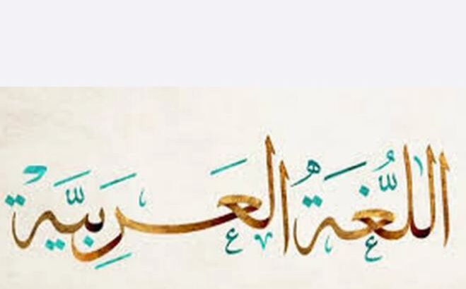 مدرس لغة عربية و محفظ قرآن كريم خبرة