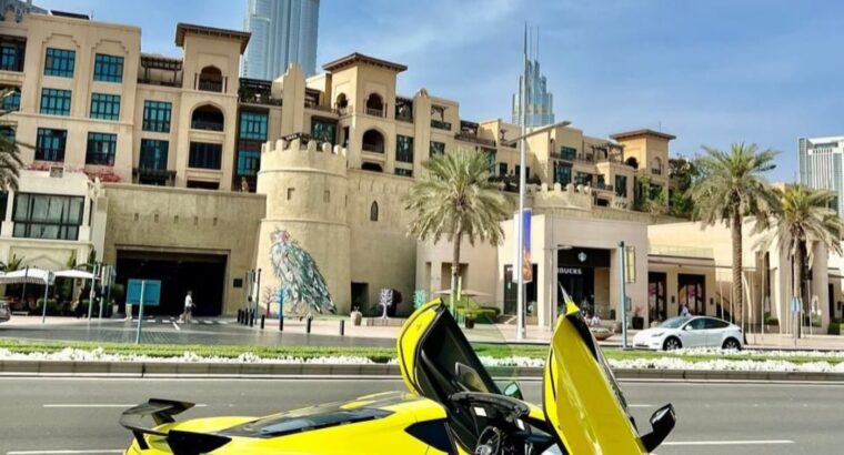 Chevrolet Corvette C8 R Edition 3LT 2022 stingray