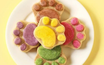 Pet Cookie Treats For Sale