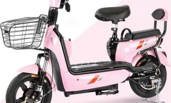 Electric Scooter for sale