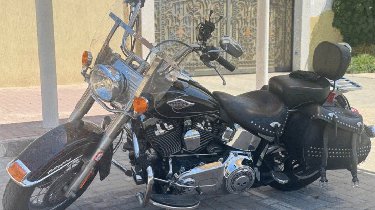Harley Davidson hartage 2011 For Sale