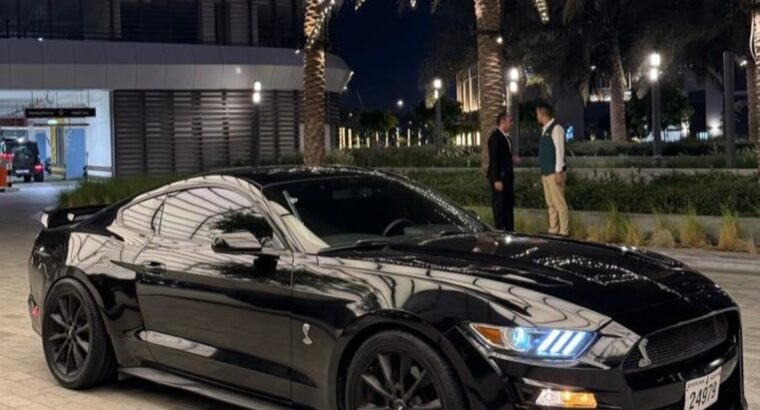 Ford Mustang 2015 GT usa imported