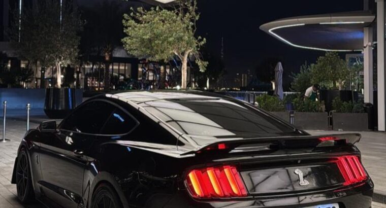 Ford Mustang 2015 GT usa imported