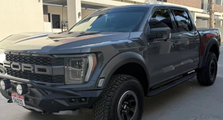 Ford F150 Raptor Performance 2021 USA imported