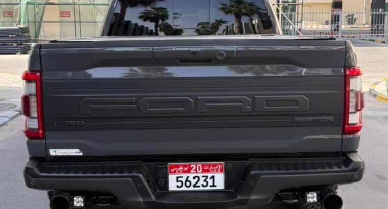 Ford F150 Raptor Performance 2021 USA imported