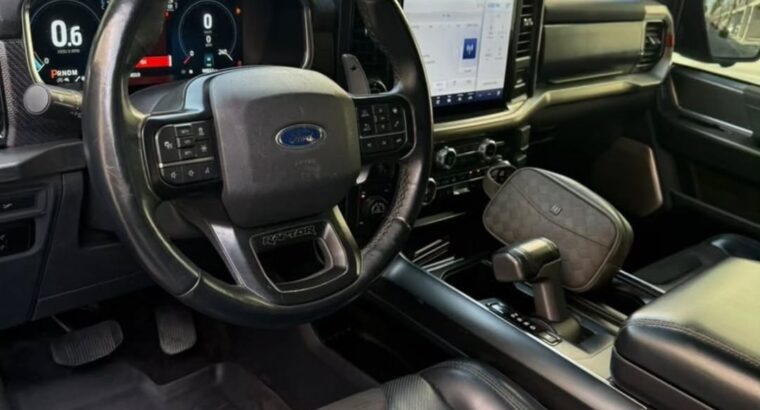 Ford F150 Raptor Performance 2021 USA imported