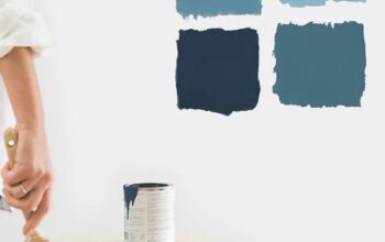 Professional wall painting services