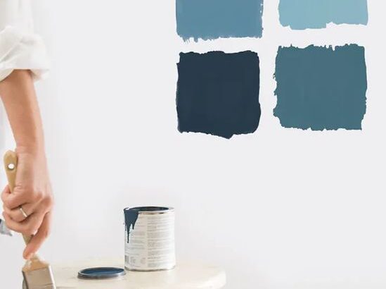 Professional wall painting services