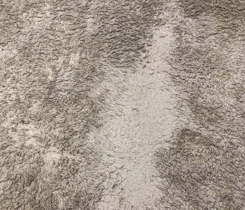 Carpet pan home company for sale