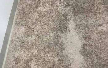 Carpet pan home company for sale