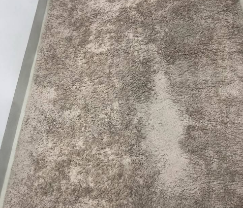 Carpet pan home company for sale